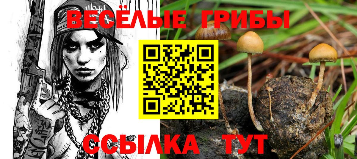 Галлюциногенные грибы Psilocybine cubensis  Вход с VPN  Нижневартовск 