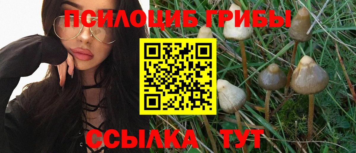 Галлюциногенные грибы ЛСД Нижневартовск